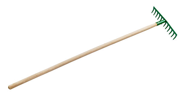 istock view of steel rake with handle with tines down 1487809389