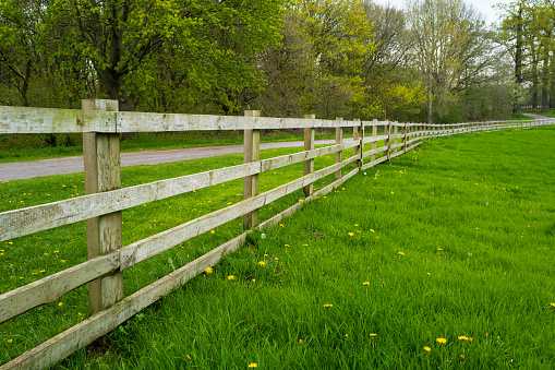 Commonly found in old farm houses are these kind of fences. Put up many years ago and left to rot, they still perform their task