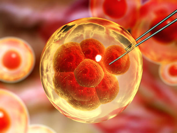 istock Genetic engineering, GMO and gene manipulation concept. Hi Tech technology in field of genetic engineering 1487811932