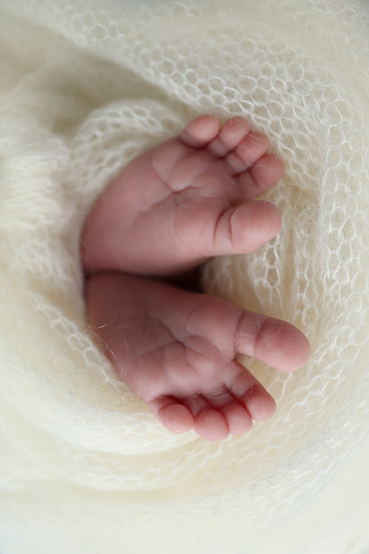 The tiny foot of a newborn baby. Soft feet of a new born in a white wool blanket. Close up of toes, heels and feet of a newborn. Knitted white heart in the legs of a baby. Macro photography.