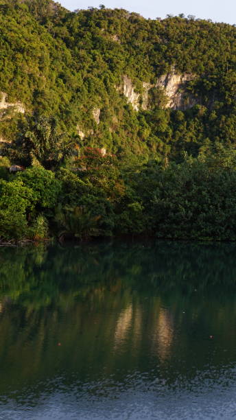istock Summer landscape in Aceh Besar 1487815146