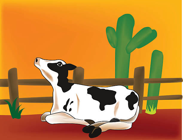 Baby Calf vector art illustration