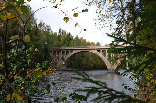 arched bridge over a wide river surrounded by autumn forest.