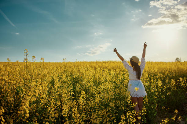 istock Having some fun on one day in the summer 1487816737