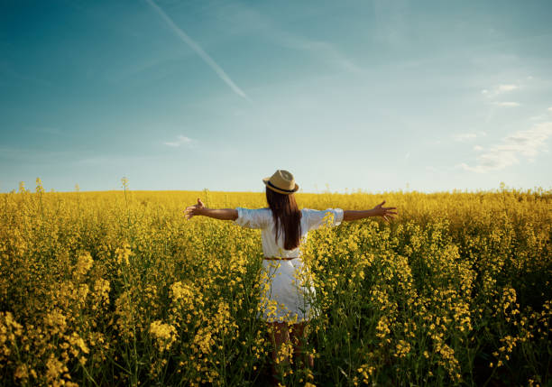 istock Having some fun on one day in the summer 1487816754
