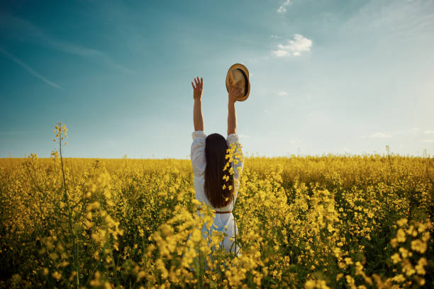 istock Having some fun on one day in the summer 1487816793