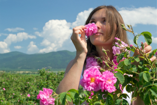 Beautiful girl smelling a rose in a rose field wearing a garland of roses
