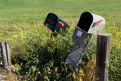 A pair of overgrown rural mailboxes in need of maintenance at roadside