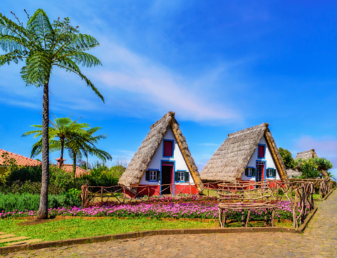 Old traditional houses in Santana village, Madeira, Portugal. Wooden, small, triangular and colorful houses represent a part of Madeira heritage. Surrounded by flowers and greenery. Tourist attraction.