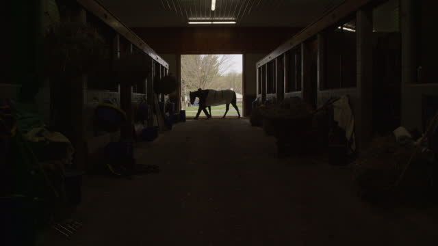 Silhouetted, Long Shot of Thoroughbred Racehorses and Their Handlers Walking through a Barn with the Sunny Outdoors Behind Them