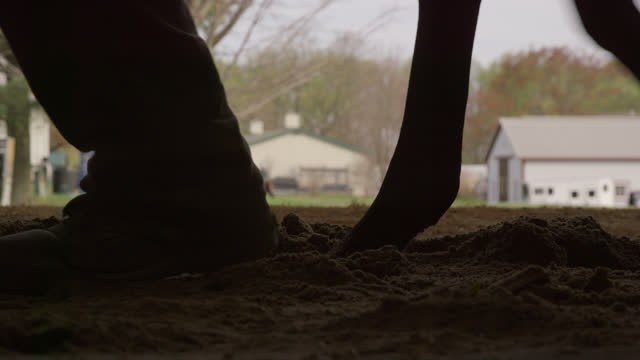 Slow Motion, Silhouette Shot of a Human's Work Boots and a Thoroughbred Horse's Hooves Walking through Dirt while a Group of Horses and Jockeys Walk Beside a Barn in the Background