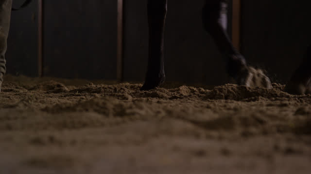 Slow Motion Shot of a Human's Work Boots and a Thoroughbred Horse's Hooves Walking through Dirt in a Barn