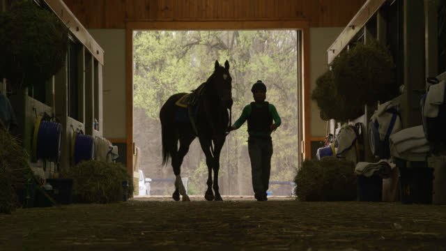 Shot of Thoroughbred Racehorses and Their Handlers Walking in a Barn/Stable with Jockeys Walking through the Shot