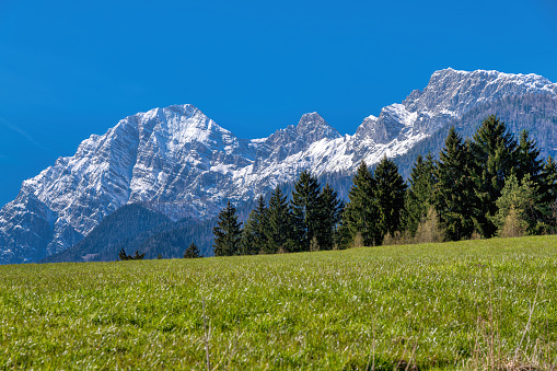 the peak of Birnhorn mountain in the near of Saalfelden and Leogang in Salzburger Land in Austria. Rural landscape in spring with a meadow a forest an some mountains. postcard picture