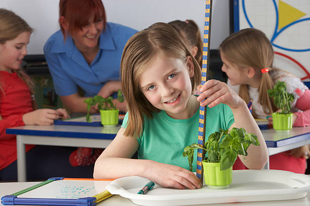 istock Girl learning about plants in school class 148782332