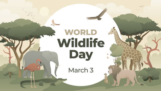 istock World Wildlife Day with animals in their natural habitat 1487827297