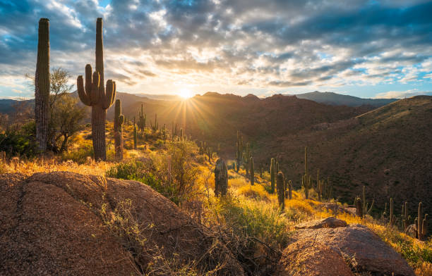 istock A dramatic sunrise in Tonto National Forest on Ballantine Trail 1487828408