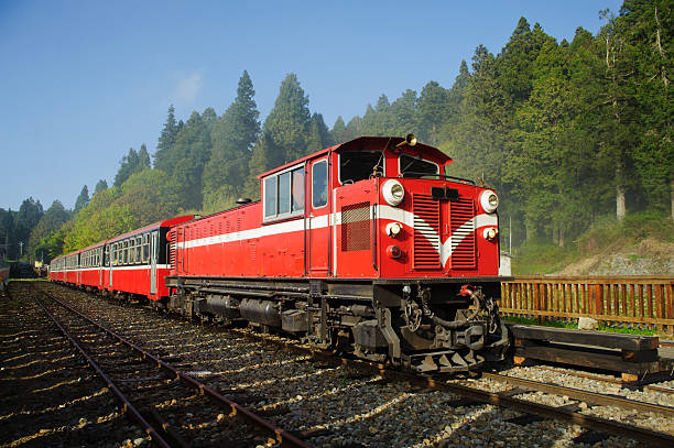 istock Red train on forest  railway  in Alishan , Taiwan, Asia. 148783080