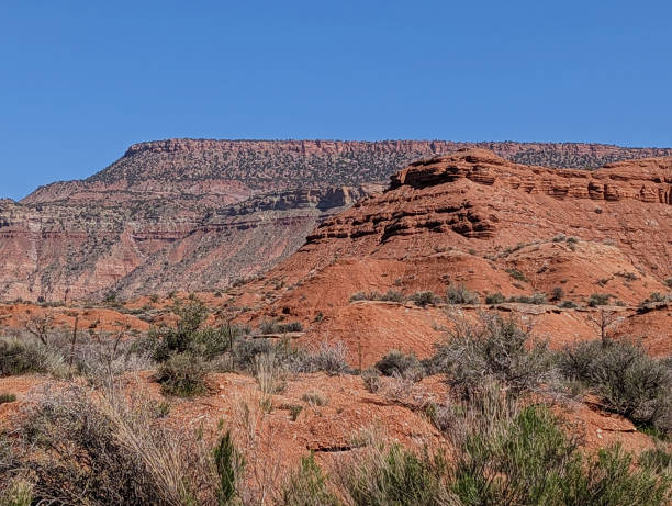 istock Red Rock Cliffs below Smith Mesa along Kolob Terrace Road near Virgin Utah in springtime April 2023 1487834685