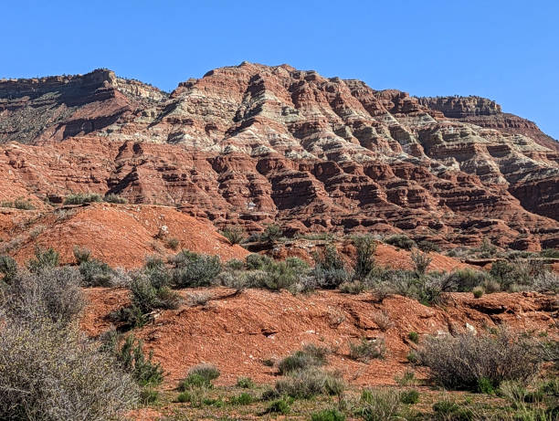istock Red Rock Cliffs below Smith Mesa along Kolob Terrace Road near Virgin Utah in springtime April 2023 1487834686