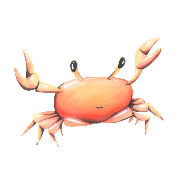 istock Red, funny, cartoon crab. Watercolor illustration, hand drawn. Isolated object on a white background. For decoration and design of summer, beach, sea. 1487835359