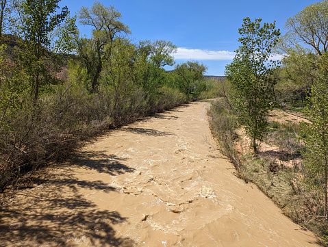 Springtime 2023 in Rockville Utah and the muddy Virgin River from snowmelt below South Mesa