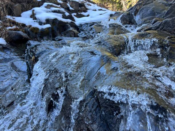 istock Spring emerges from Lake Tahoe 1487835755