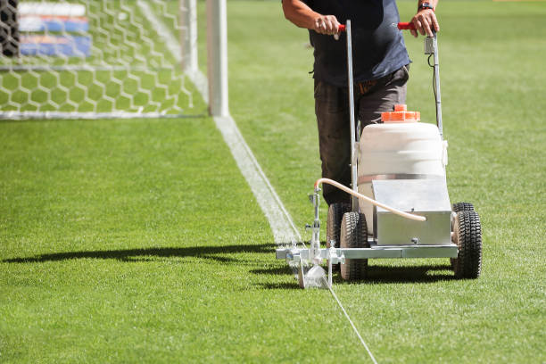 mallinie auf dem rasen - soccer field grass single line lawn stock-fotos und bilder