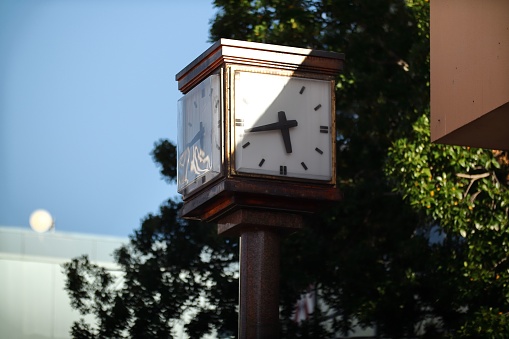 A clock situated on a city street with trees in the background