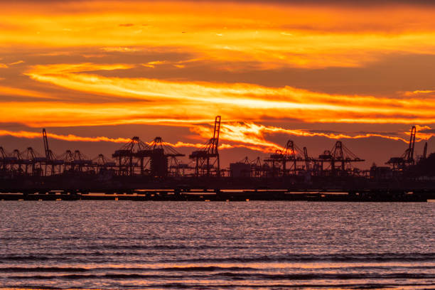 istock Sunset Landscape Photography 1487840341