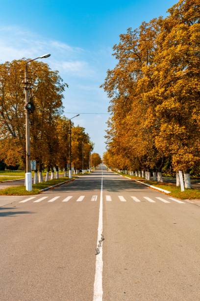 istock Asphalt Road to Chernobyl in summer 1487841398