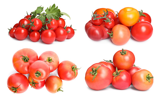 Set with different piles ripe tomatoes on white background