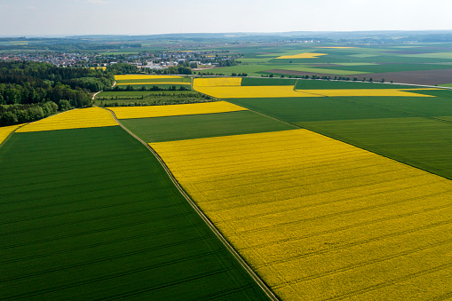 Patchwork landscape with green and yellow fields viewed from above.