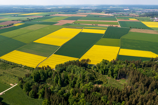 Forest and patchwork landscape with green and yellow fields viewed from above.