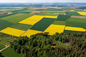 Forest and fields in spring from above