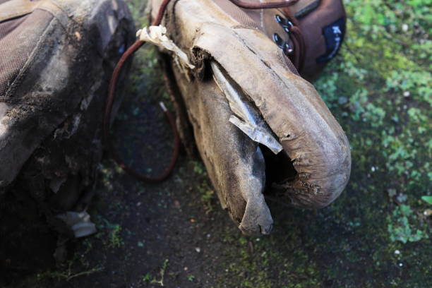 Climbing shoes with peeled soles