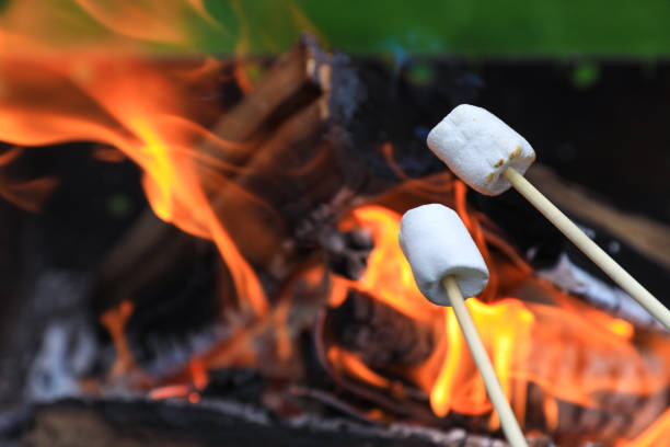 istock Delicious puffy marshmallows roasting over bonfire, closeup. Space for text 1487848992