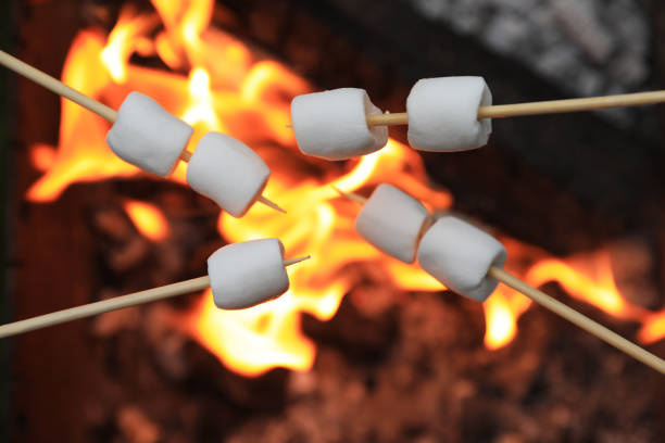 istock Delicious puffy marshmallows roasting over bonfire, closeup 1487849011