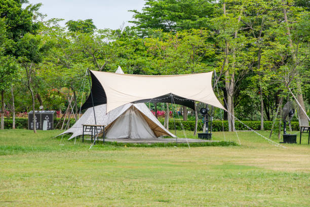 istock Camping tents on green grass in the park 1487850831