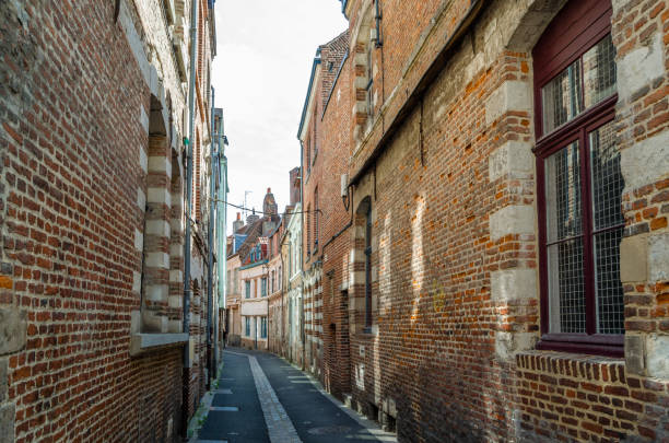 istock Architecture in Lille, France 1487851054
