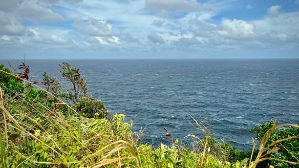 istock Caribbean Sea and natural vegetation 1487860869