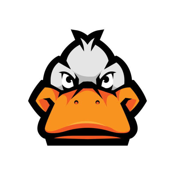 Duck head Duck head logo for sport or esport team. Ducks illustration design vector for gaming logos, badge, emblem, apparel, merchandise canadian coin stock illustrations