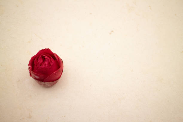 un fiore di camelia sulla carta - handmade paper flower single flower rose foto e immagini stock