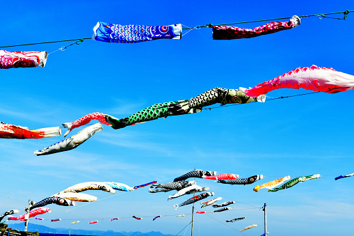 Koi Nobori, the carp-shaped windsocks flying high in the sky, is typical landscape of April and early May throughout Japan, celebrating ‘Children’s Day’ of May 5, which is designated as national holiday. The custom is based on the wishes that the children will grow up healthy and strong.\nThe photo was taken at Miura Coast/Beach on a day with strong wind in early May.