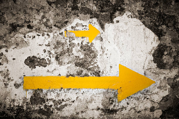 istock Yellow arrow signs on Camino de Santiago. 148787590
