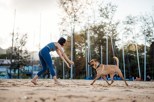 Cheerful young Asian woman playing with her pet dog, throwing ball to her dog at the beach at sunset, enjoying time together in the nature outdoors. Living with a dog. Obedience training. Love and bonding with pet