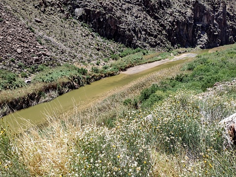 The Rio Grande river between Texas and Mexico provides a narrow and sometimes an unassuming divider between the two countries. Grasses in the foreground with canyon walls in the background. A relatively narrow green ribbon of water is the river.