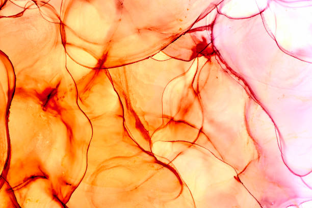 istock Alcohol ink fluid abstract art drawing photo shotting. 1487878488