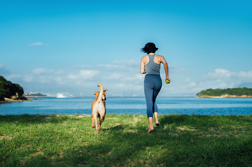 Rear view of young Asian woman and her pet dog running towards the beach against clear blue sky, playing and enjoying time together in the nature outdoors. Living with a dog. Love and bonding with pet