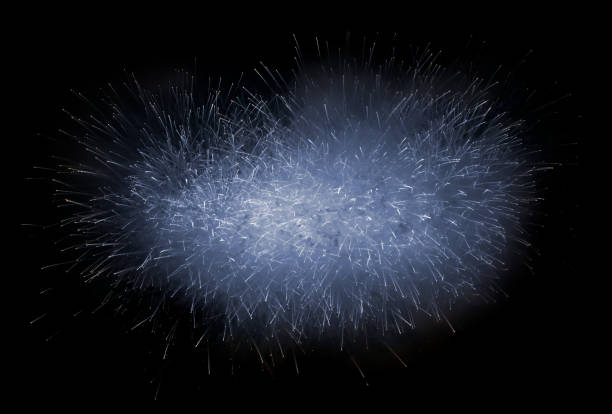 Beautiful blue fireworks display lights up the sky with dazzling display during New Year celebration. Abstract colored fireworks background with copy space. Celebration and anniversary concept